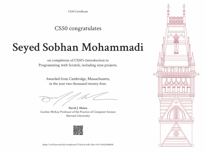 Seyed Sobhan Mohammadi