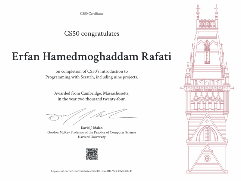 Erfan Hamedmoghaddam Rafati