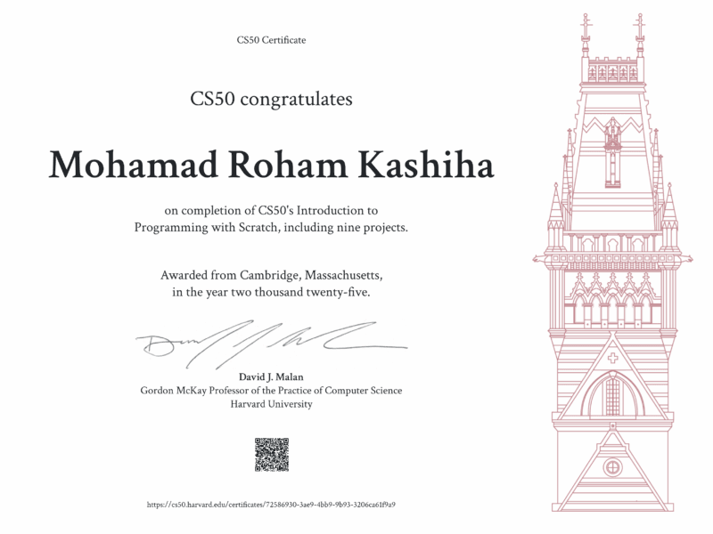 Mohamad Roham Kashiha