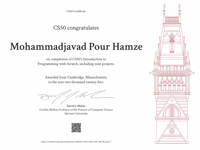 Mohammadjavad Pour Hamze