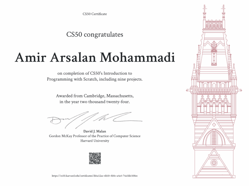 Amir Arsalan Mohammadi